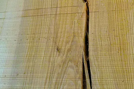 Différentes essences de bois