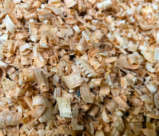 Copeaux de bois issus de L'Ateleir de Chris